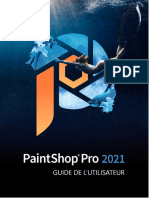 Paintshop Pro 2021