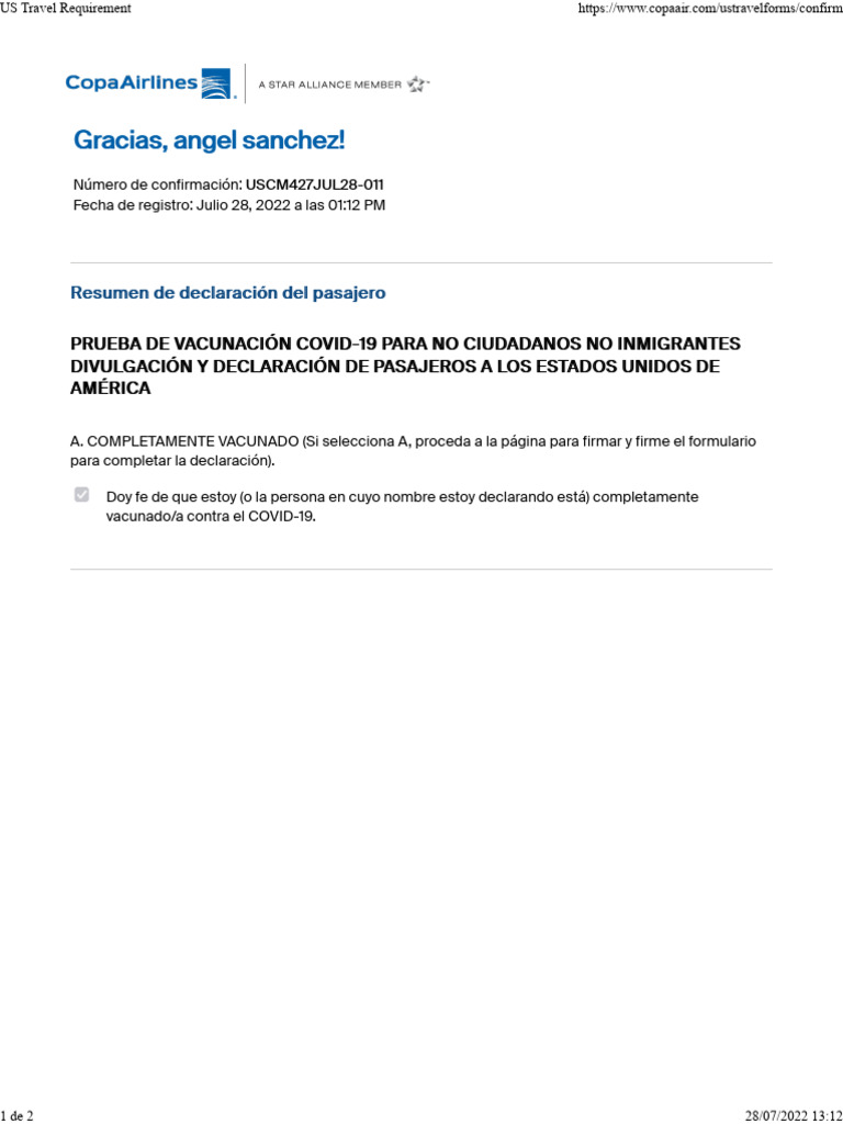 US Travel Requirement. Declaracion PDF