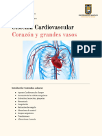 Guia I Sistema Cardiovascular 