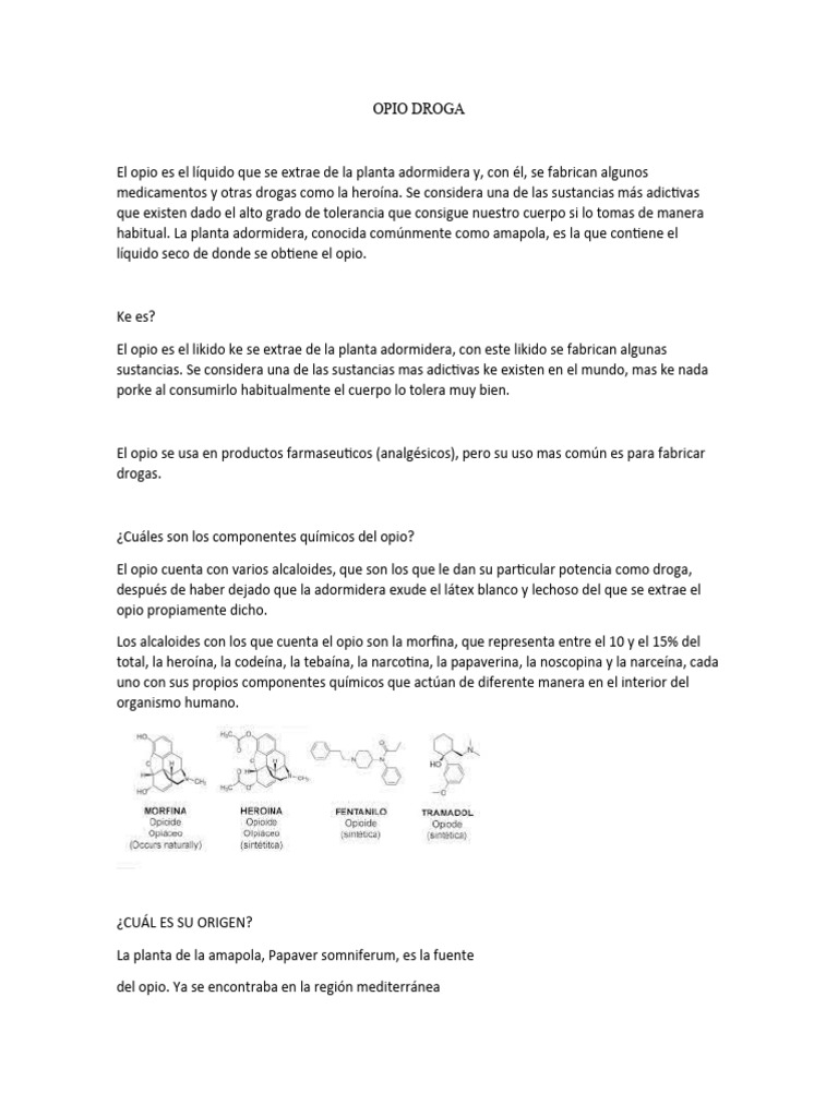 Opio Droga | PDF | Salud y bienestar