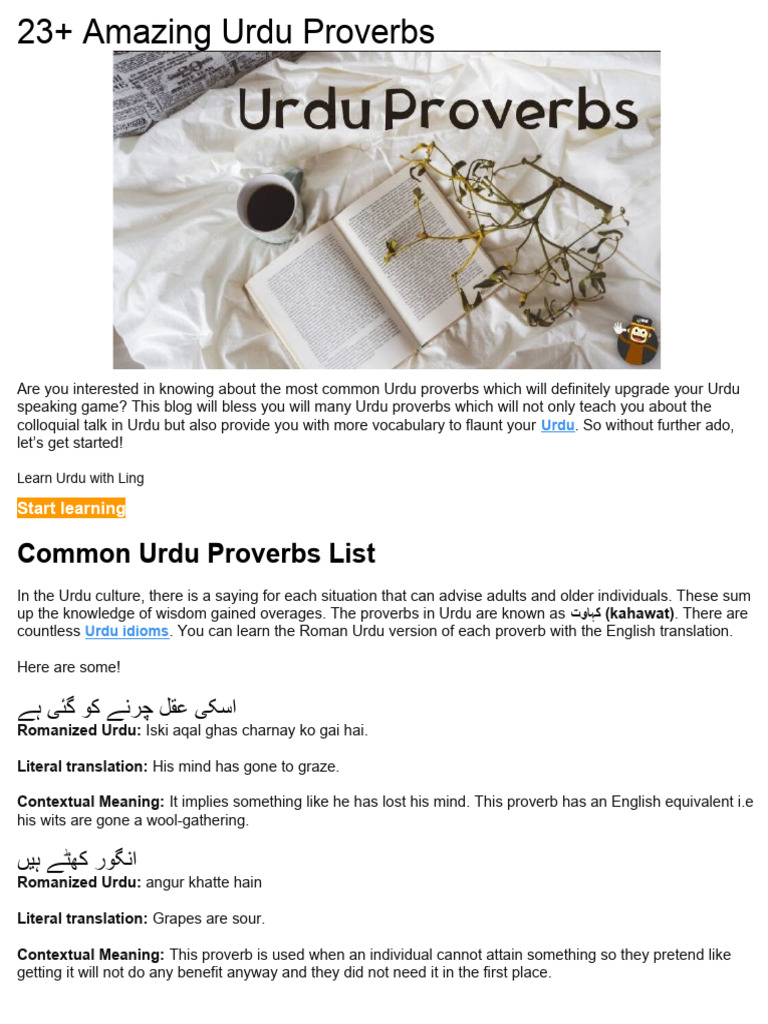 Idioms meaning 2024 in urdu