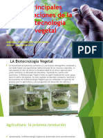 principales aplicaciones de la biotecnología vegetal
