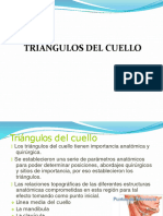 3era Sesión - Triángulos Del Cuello