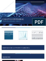 Calculo Integral