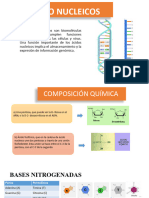 Ácido Nucleicos