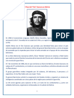 Biografía Del Che Guevara