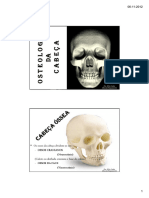 OSTEOLOGIA+da+CABEÇA+12