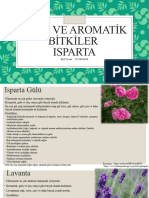 Tıbbi Ve Aromatik Bitkiler Isparta