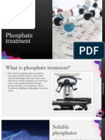 Phosphate Treatment