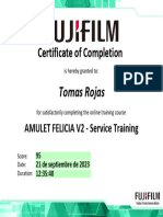 AMULET FELICIA V2 - Service Training