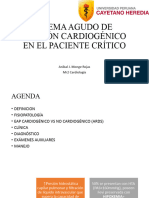 Edema Agudo de Pulmón Cardiogénico en El Paciente