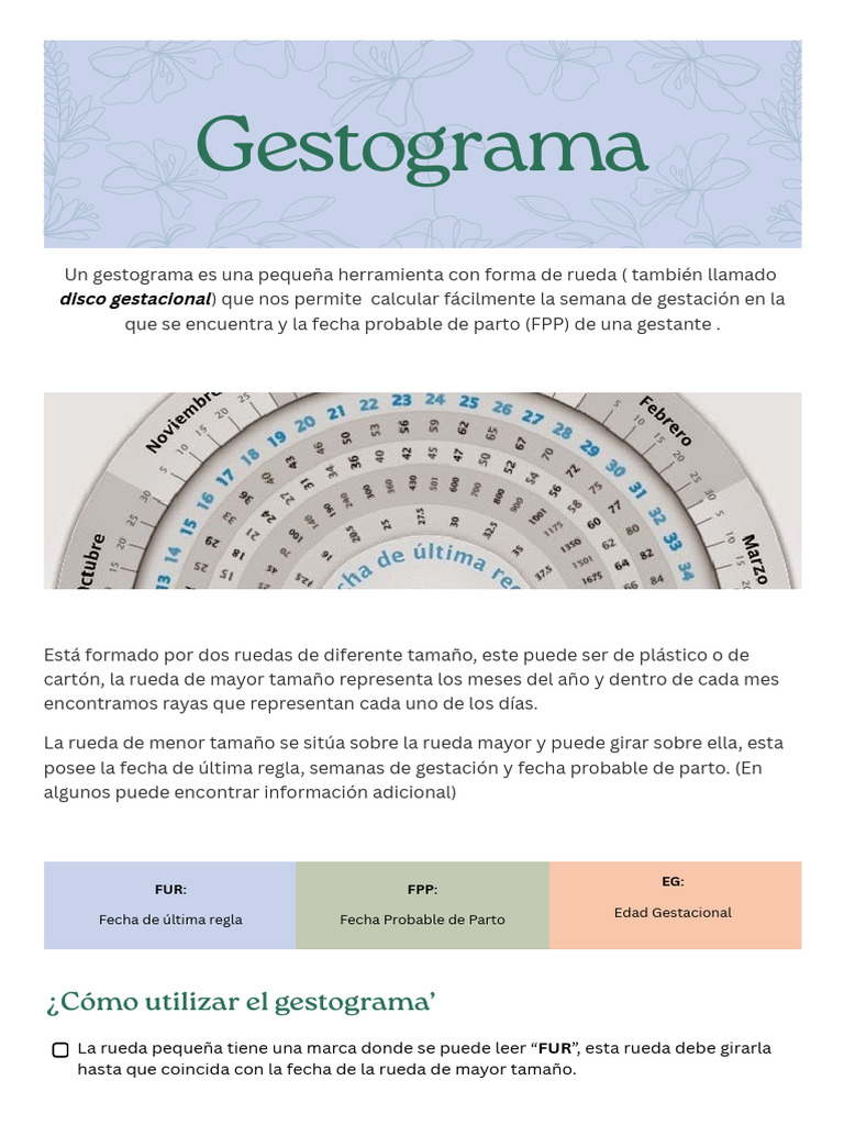 Gestograma | PDF