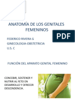 Anatomia de Genitales F