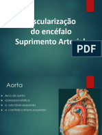 22+caso+6+-Aula+4+vascularização+do+encefalo+humanitas