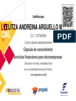 Servicios Financieros para Microempresas-CERTIFICADO (Responde La Encuesta de Satisfacción y Luego Haz Clic Aquí para Descargar Tu Certificado) 58644