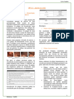 SP 1.4 NCS4 - Onco Ok