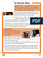 Brown Bear Fact Sheet