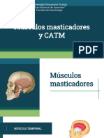 Musculos Masticadores y CATM