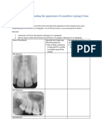 Homework On Cancellous Bone