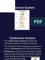 Endocrine_System