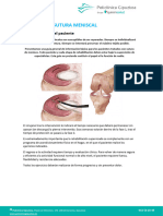 Protocolo Sutura-Meniscal