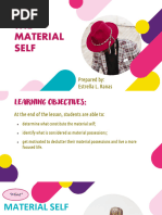 The Material Self