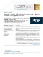 Artroscopia y Cirugia Articular