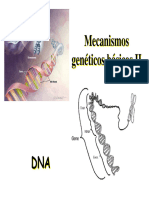 Clase 3 Mecanismos Genéticos Ii