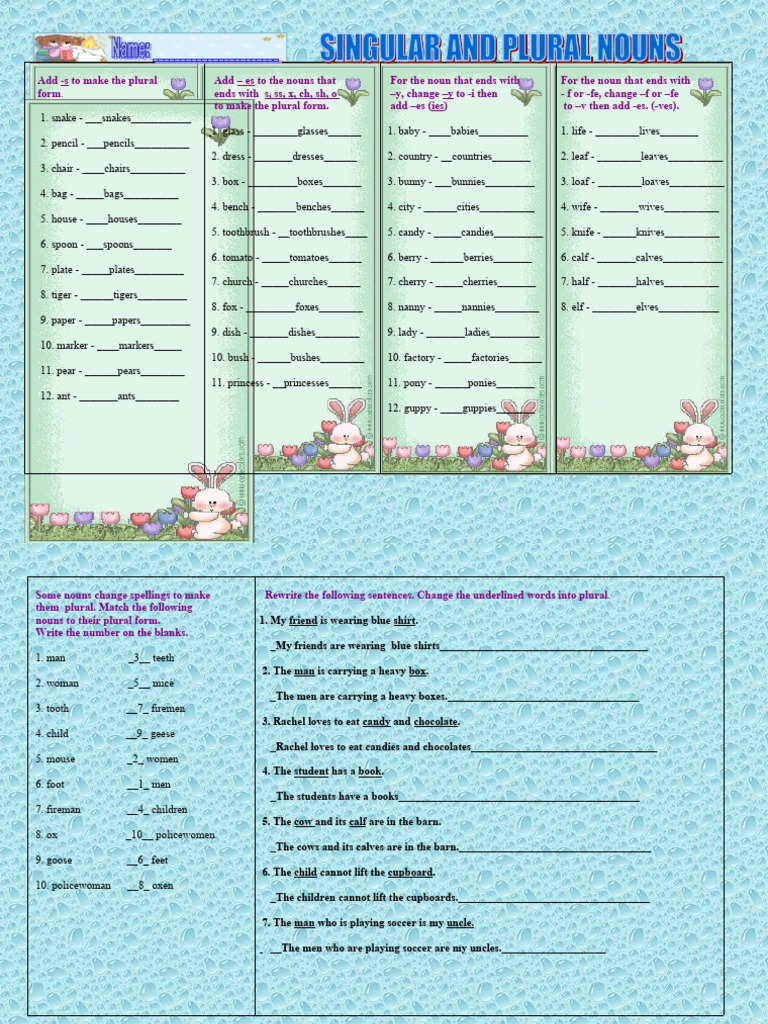 Singular and Plural Nouns 1 PDF Morphology Language Mechanics