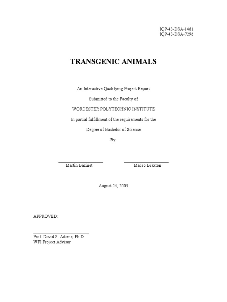 Transgenic organism vs gmo picture