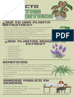 Plantas Antiestres