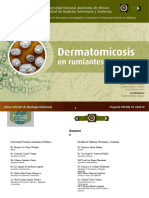 Dermatomicosis_R_C