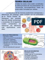 2 Metabolismo Celular