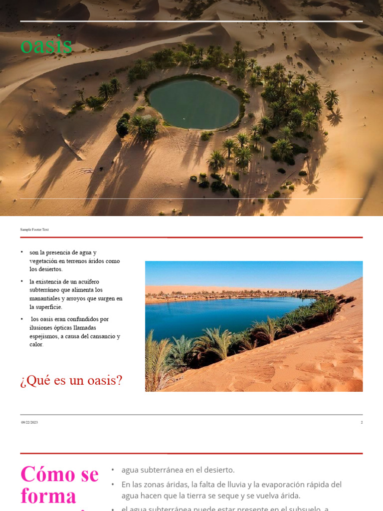 Oasis 23 | PDF