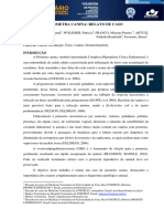 Piometra Canina Relato de Caso