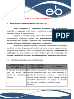 Novo - (Concluido) Capitulo 02 - Principios Do Direito Ambiental - Romeu Thome