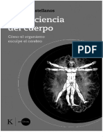 En Órbita Nazareth Castellanos Neurociencia Del Cuerpo Editorial Kairós 2022 K2opt