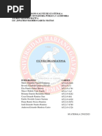 Cultura Organizacional