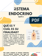 Sistema Endocrino 