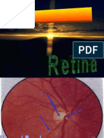 Retina 2