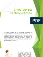 Estructura Del Sistema Linfatico-2