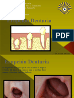 Erupcion Dental