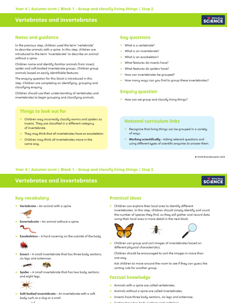 Y4 Autumn Block 1 SOL2 Vertebrates and Invertebrates | PDF ...