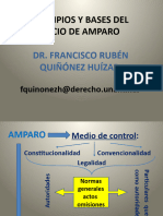 Principios y Bases Del Amparo