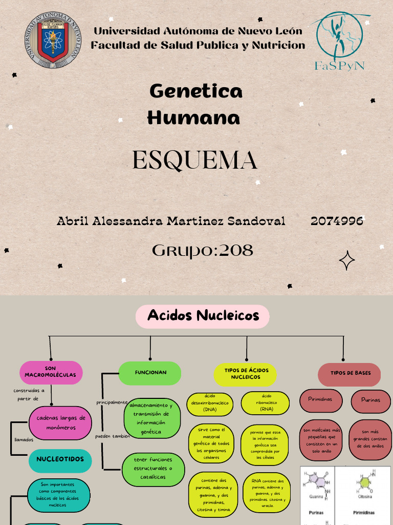 Estructura y Función de Ácidos Nucleicos | PDF | Nucleótidos | Rna