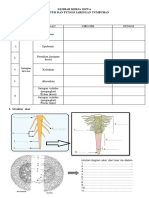 PDF Lembar Kerja Siswa Struktur Jaringan Tumbuhan