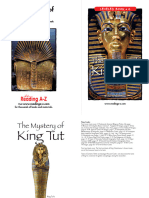 Z The Mystery of King Tut