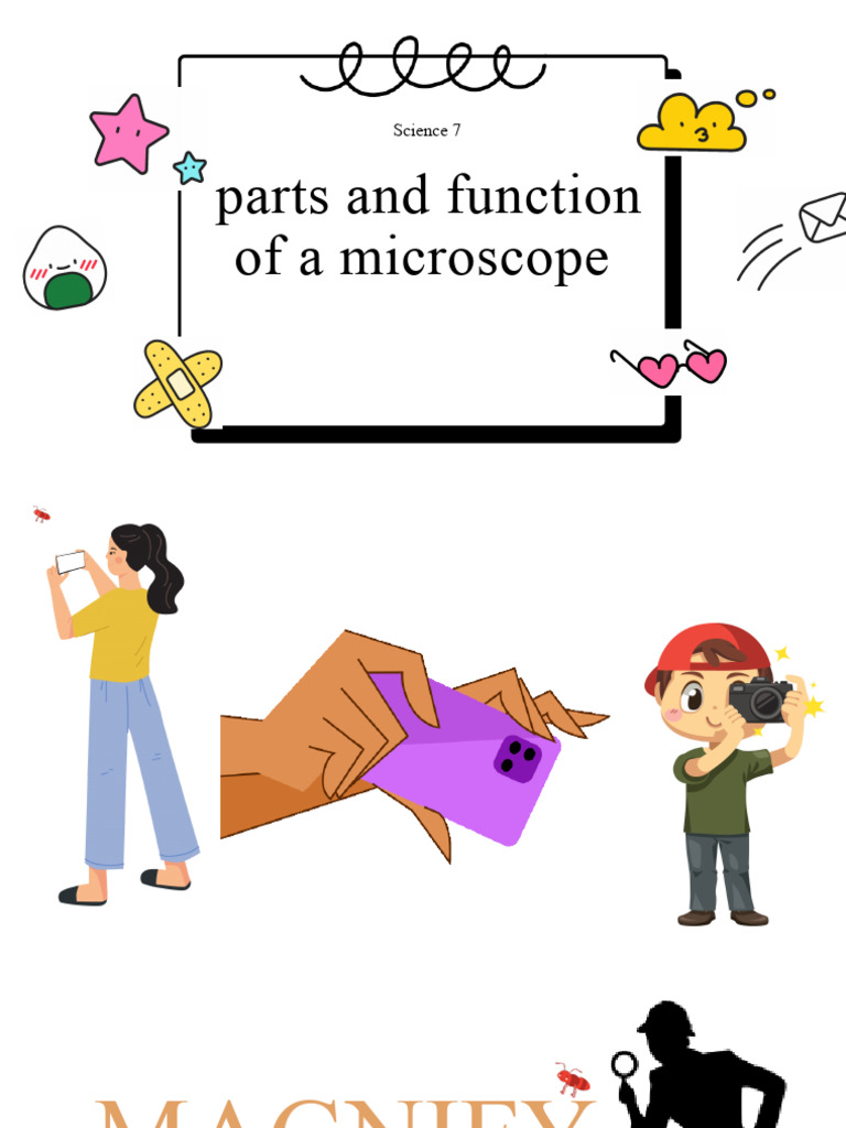 7th Grade Microscope Parts Explained | PDF | Glass Engineering And ...