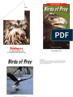 P Birds-of-Prey