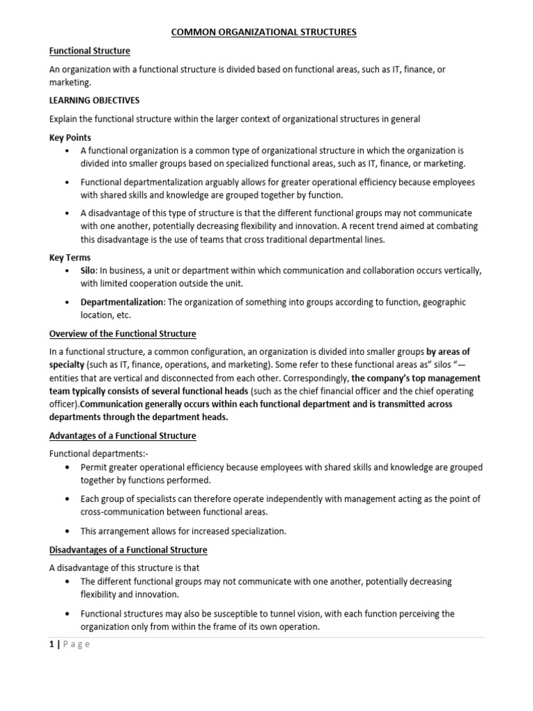 Organizational Structures - EDITdoc | PDF | Business